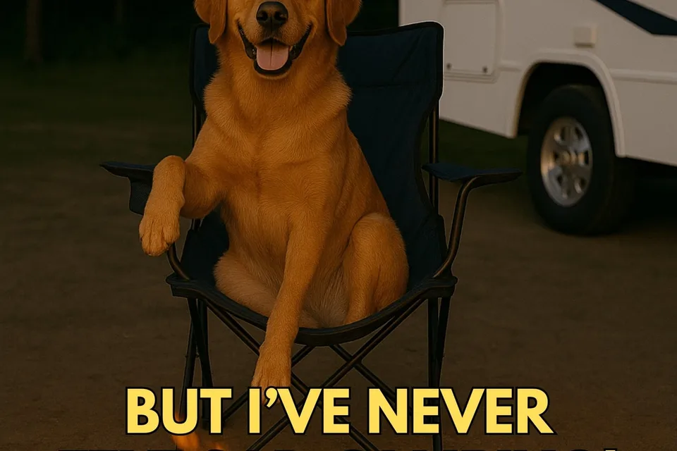 😁BOOK NOW for SUMMER @ Anchor Down RV Resort - 2 PETS STAY FREE⭐⭐⭐⭐⭐