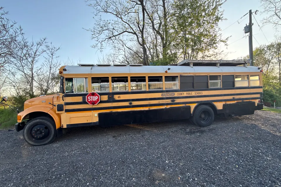 Shenandoah bluebird Skoolie