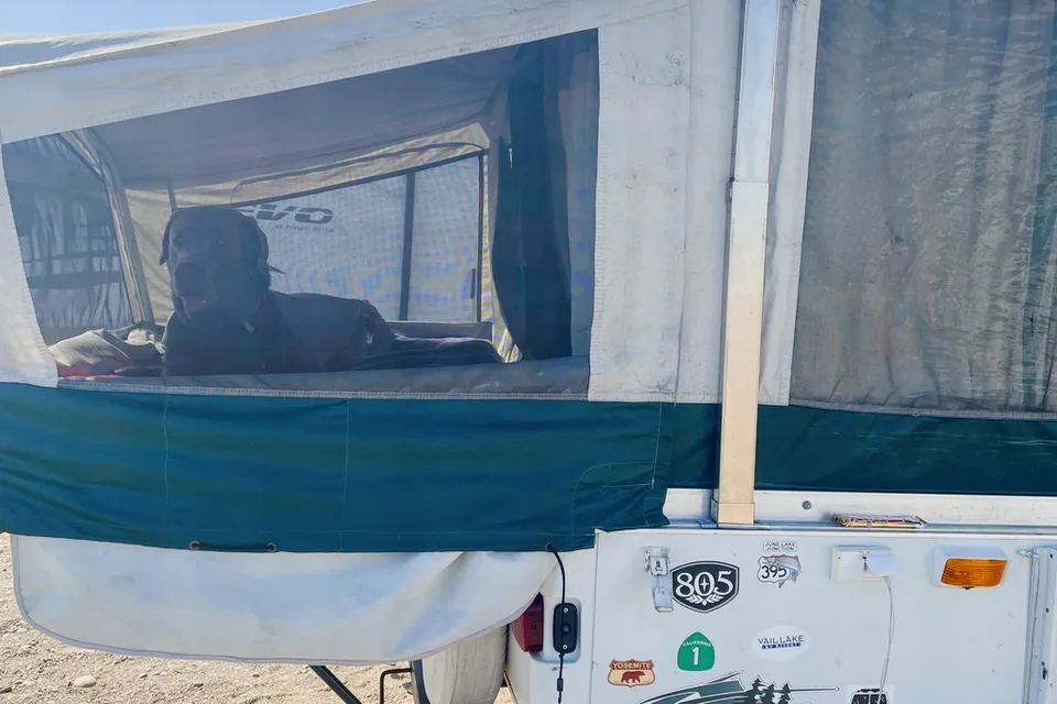 Gavin's Coleman Cottonwood Tent Trailer