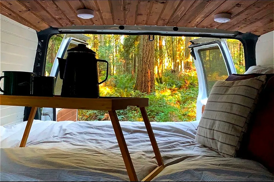 Fran The Van