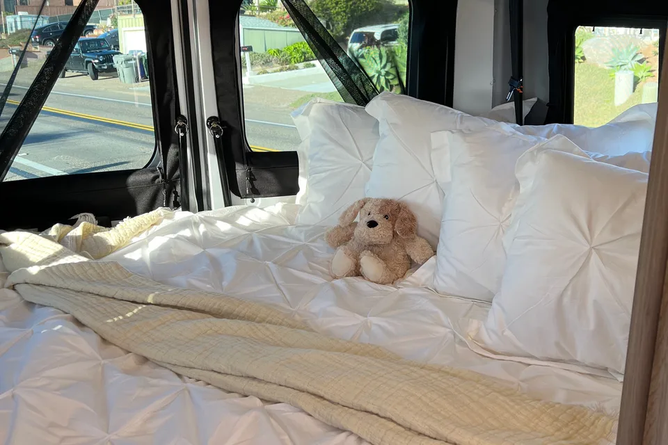 “Magnolia” 2022 Winnebago Solis 59P Class B