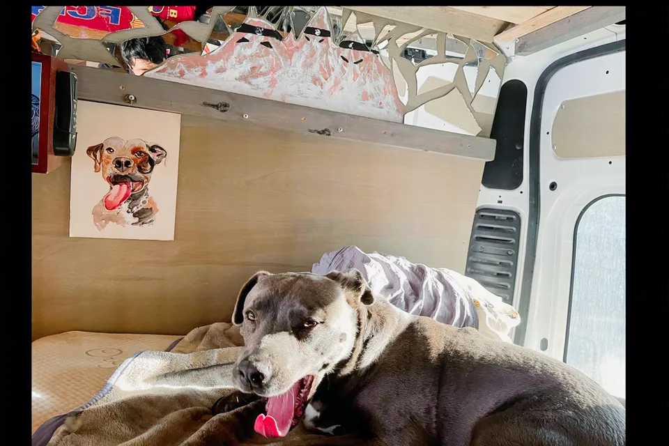 Irving's Van Go Ram Campervan